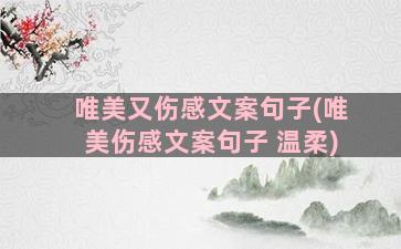 唯美又伤感文案句子(唯美伤感文案句子 温柔)